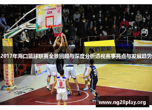 2017年海口篮球联赛全景回顾与深度分析透视赛事亮点与发展趋势