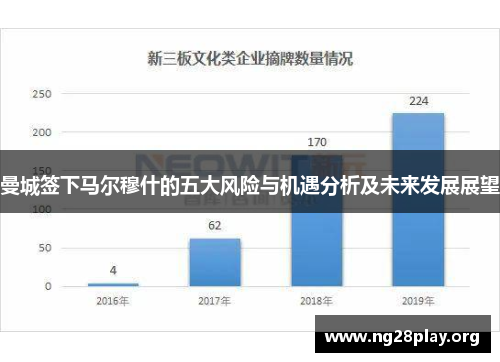 曼城签下马尔穆什的五大风险与机遇分析及未来发展展望