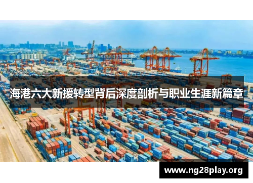 海港六大新援转型背后深度剖析与职业生涯新篇章 海港六大新援转型背后深度剖析与职业生涯新篇章