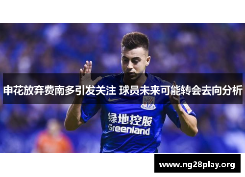 申花放弃费南多引发关注 球员未来可能转会去向分析