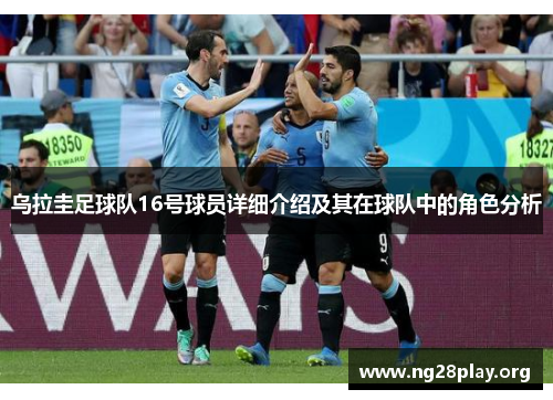 乌拉圭足球队16号球员详细介绍及其在球队中的角色分析