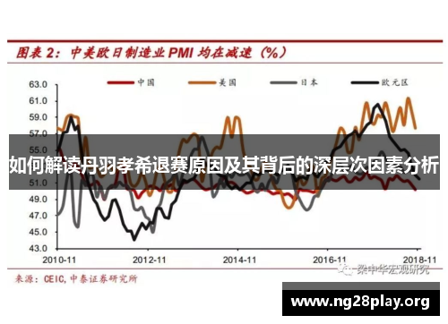 如何解读丹羽孝希退赛原因及其背后的深层次因素分析