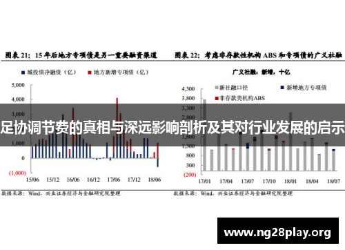 足协调节费的真相与深远影响剖析及其对行业发展的启示